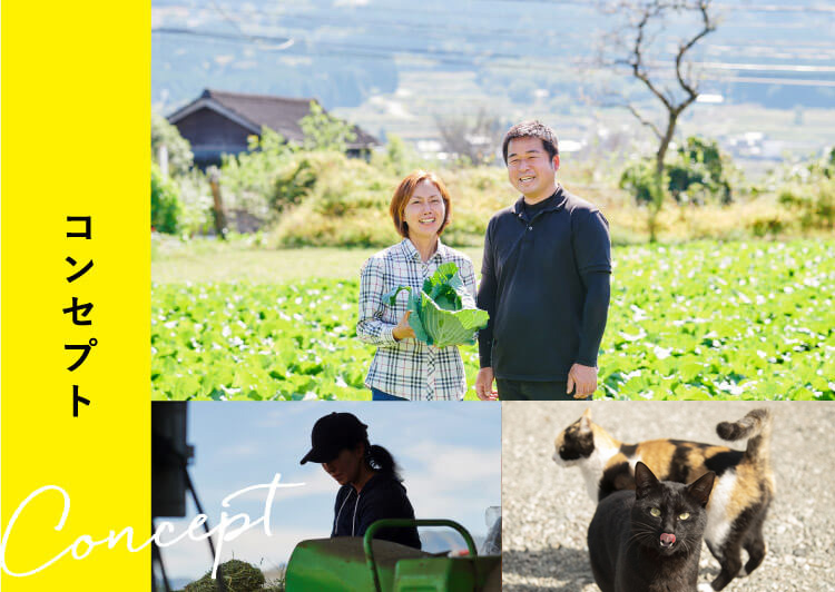 民宿なかむら牧場が伝えたい熊本 阿蘇の大自然と貴重な体験