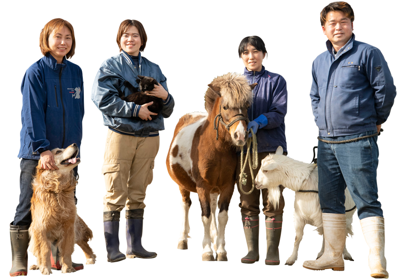 民宿 牧場スタッフと熊本 阿蘇で元気に育つ動物たち